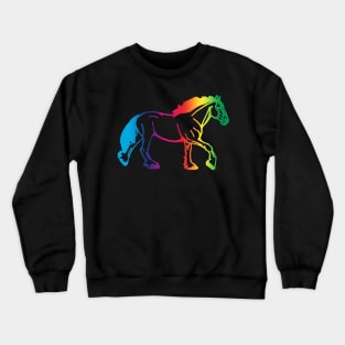 Rainbow Cob Crewneck Sweatshirt